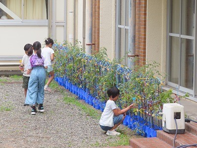 2-1水やり (1).jpg