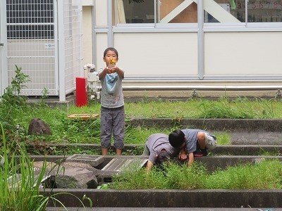 2-1水やり (2).jpg