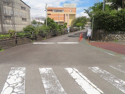 西側道路 (2).jpg