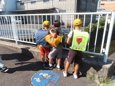 https://swa.numazu-szo.ed.jp/numazu001/blog_img/35398332?tm=20240909144344