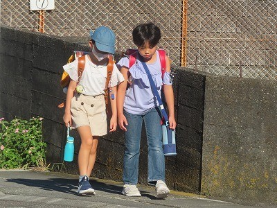 https://swa.numazu-szo.ed.jp/numazu001/blog_img/35411718?tm=20240911090213