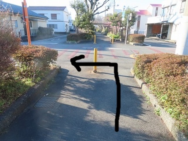 https://swa.numazu-szo.ed.jp/numazu001/blog_img/4327793?tm=20240213151227