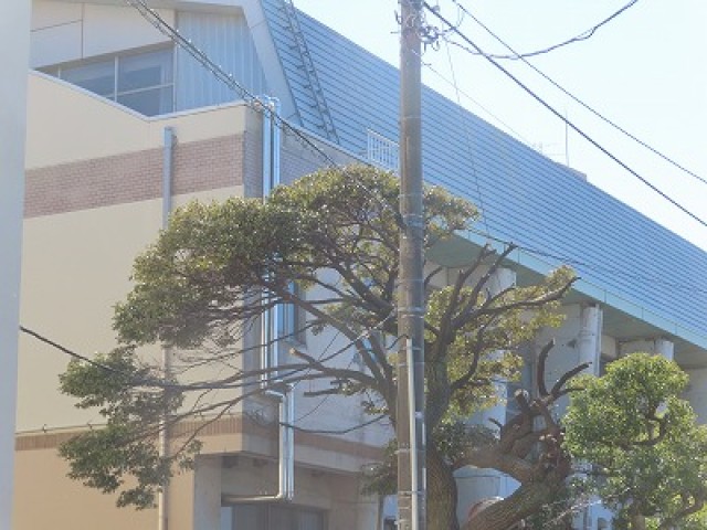 https://swa.numazu-szo.ed.jp/numazu001/blog_img/4329028?tm=20240214120516