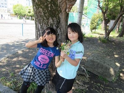 https://swa.numazu-szo.ed.jp/numazu001/blog_img/5138293?tm=20240425143854