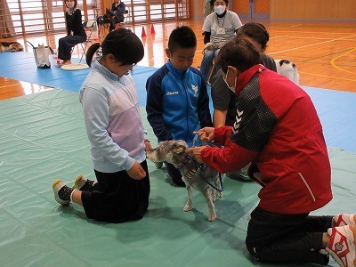 ４年生動物愛護教室 (20).jpg