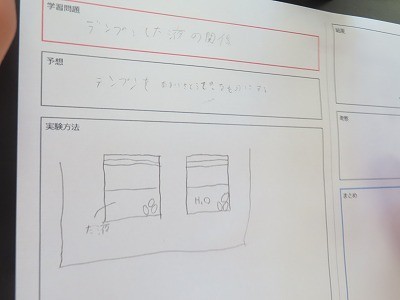 https://swa.numazu-szo.ed.jp/numazu001/blog_img/8321313?tm=20240606103831