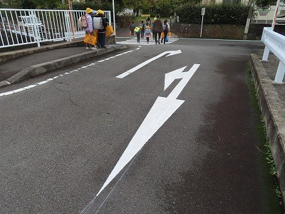 西側道路 (1).jpg