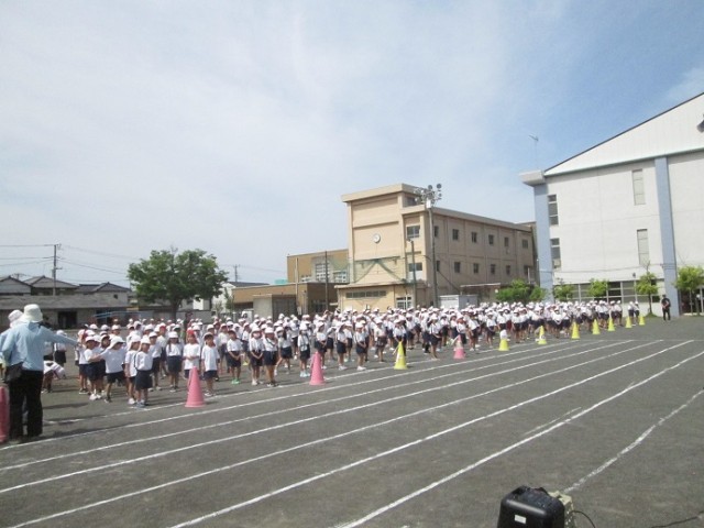 https://swa.numazu-szo.ed.jp/numazu009/blog_img/5173331?tm=20240521102413