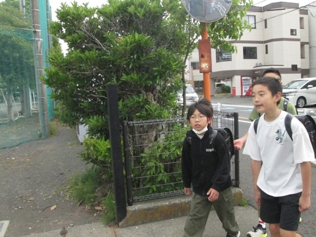 https://swa.numazu-szo.ed.jp/numazu009/blog_img/5175810?tm=20240522082730