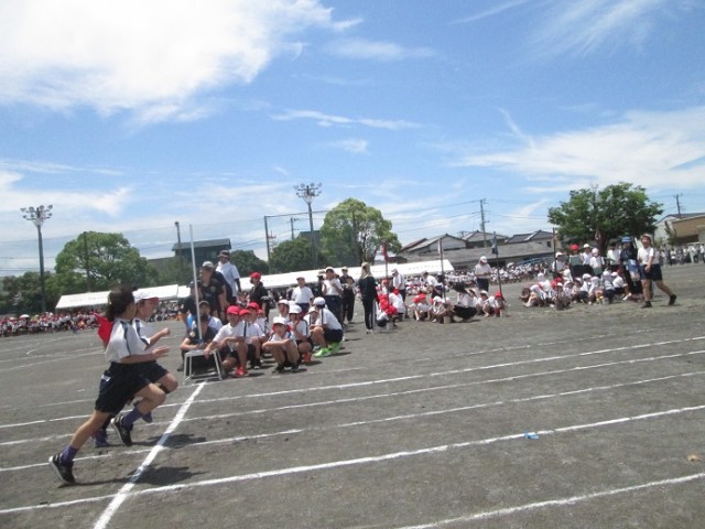 https://swa.numazu-szo.ed.jp/numazu009/blog_img/7028415?tm=20240601142629