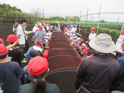 https://swa.numazu-szo.ed.jp/numazu014/blog_img/5127476?tm=20240418123310