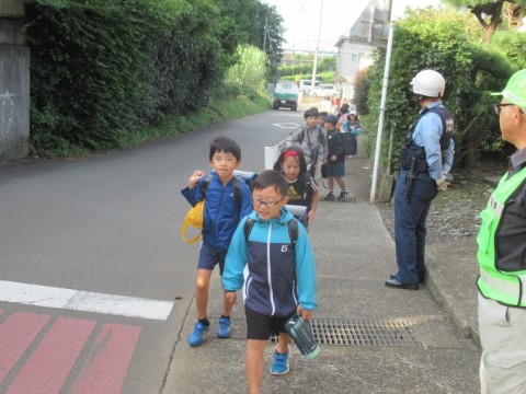 https://swa.numazu-szo.ed.jp/numazu014/blog_img/54235339?tm=20241011172220