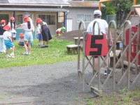 今週のなかよしタイムは、５年生が大平こども園に行って、遊びます。５年生は、20分休みになると嬉しそうにこども園に行きました。園では、ボールを使って遊ぶ子、遊具を使って遊ぶ子、お話をいろいろとする子、鬼ごっこをする子など、交流は様々でした。次は、１学期最後で６年生が来週子ども園に行く予定です。