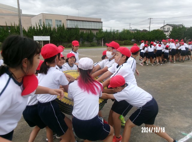 https://swa.numazu-szo.ed.jp/numazu018/blog_img/54254028?tm=20241016145543