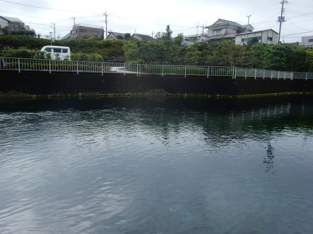 https://swa.numazu-szo.ed.jp/numazu018/blog_img/54376290?tm=20241101201154