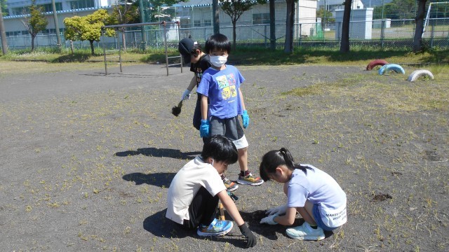 https://swa.numazu-szo.ed.jp/numazu024/blog_img/5170269?tm=20240518112237