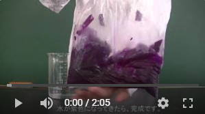 【動画配信８】理科　（５／１１）.png