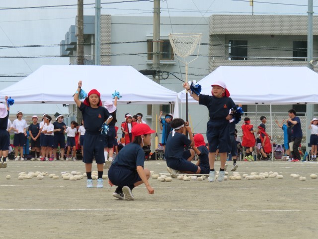 20240524 黒潮祭体育の部 チェッコリ (2).JPG